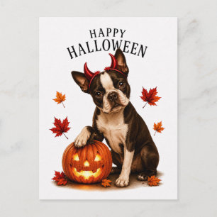 Boston Terrier Halloween Postkarte