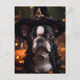 Boston Terrier Halloween Postkarte
