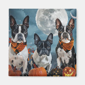 Boston Terrier Halloween Spooky Magnet (Vorne)