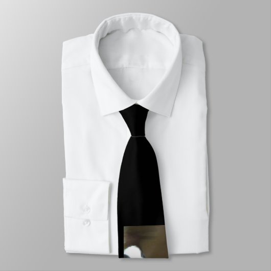 Boston-Terrier-Hals-Krawatte Krawatte (Gebunden)