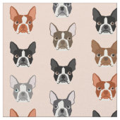 Boston Terrier Heads Gewebe - niedliche Hunde Stoff (Nahaufnahme)