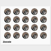 Boston Terrier: Helles Gesicht Runder Aufkleber (Blatt)