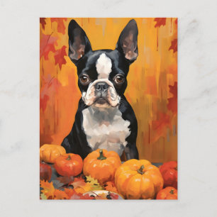 Boston Terrier Herbst Erntedank Postkarte