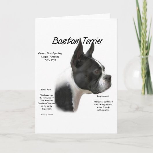 Boston Terrier History Design Feiertagskarte (Vorderseite)