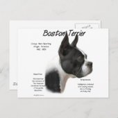 Boston Terrier History Design Postkarte (Vorne/Hinten)
