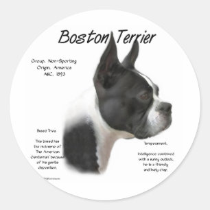Boston Terrier History Design Runder Aufkleber