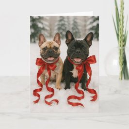 Boston Terrier Holiday Card Karte