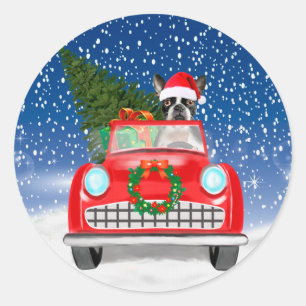 Boston Terrier Hund fährt Auto im Schnee Weihnacht Runder Aufkleber