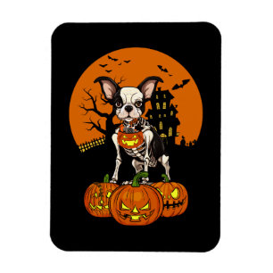 Boston Terrier Hund Halloween Magnet