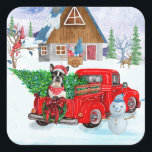 Boston Terrier Hund In Christmas Delivery Truck Quadratischer Aufkleber<br><div class="desc">Ein Hund,  der im Weihnachtslieferwagen sitzt und Weihnachtsbaum durch den Schnee transportiert,  ist eine Geschenkidee,  die jeder Hundefreund Liebe bekommt. Wenn Sie Liebe oder besitzen diese Hunderasse,  dann ist es ein großes Geschenk für Ihr Selbst,  Ihre Liebe für Ihr Haustier zu zeigen.</div>