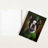 Boston Terrier Hund in St. Patrick's Day Dress Planer (Anzeige)