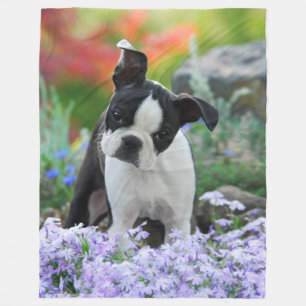 Boston Terrier Hund Niedlich Puppy Animal Head Fot Fleecedecke