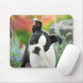 Boston Terrier Hund Niedlich Puppy Animal Head Fot Mousepad (Mit Mouse)