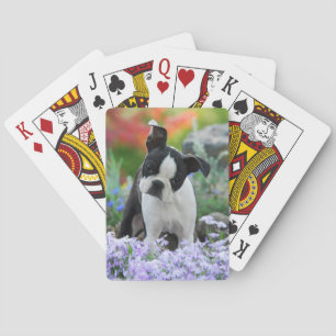 Boston Terrier Hund Niedlich Welpe in Blume - Spielkarten