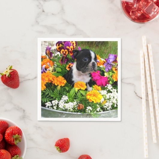 Boston Terrier Hund Serviette (Beispiel)