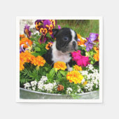 Boston Terrier Hund Serviette (Vorderseite)