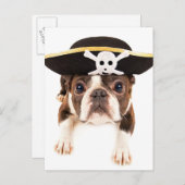 Boston Terrier Hund verkleidet als Piraten Postkarte (Vorne/Hinten)