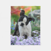 Boston Terrier Hund Welpe Komfort Fleecedecke (Vorderseite)