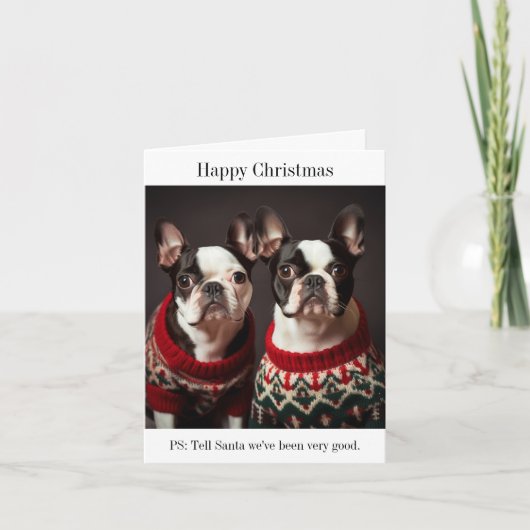 Boston Terrier Hunde in Weihnachtssüßen Karte (Vorderseite)
