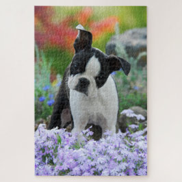 Boston-Terrier-Hundeniedlicher Puzzle