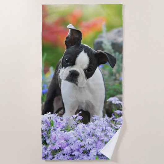 Boston-Terrier-Hundeniedlicher Strandtuch (Vorderseite)