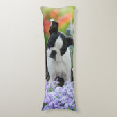 Boston-Terrier-Hundeniedlicher Welpe, cuddly Seitenschläferkissen (Vorderseite Vertikal)