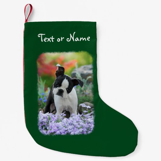 Boston-Terrier-Hundeniedlicher Welpe Kleiner Weihnachtsstrumpf (Vorderseite)