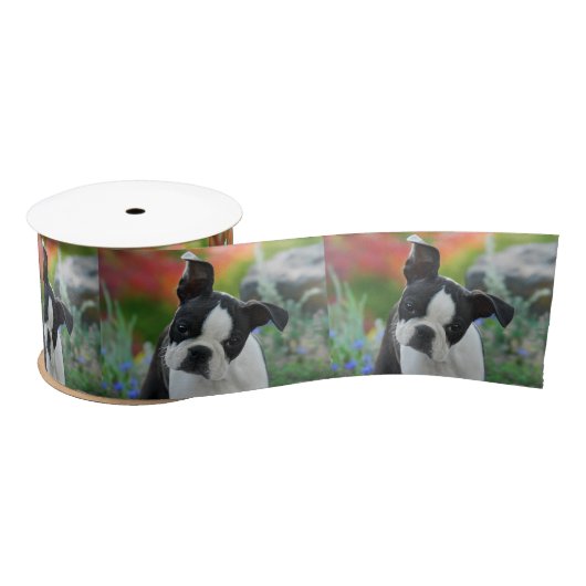 Boston-Terrier-Hundeniedliches Satinband (Spule)