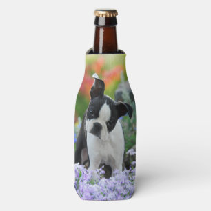 Boston-Terrier-Hundeniedliches Welpen-Foto, Flaschenkühler