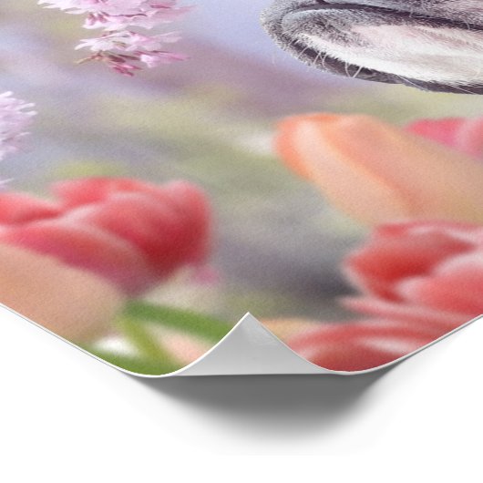 Boston Terrier Hundeplakat Poster (Ecke)