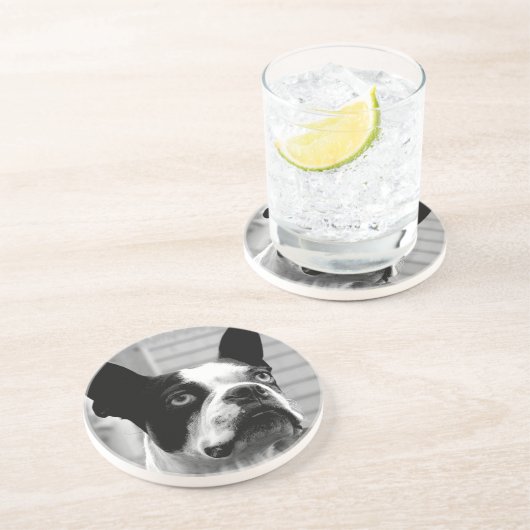 Boston-Terrier-HundeUntersetzer Sandstein Untersetzer (Seite)