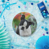 Boston-Terrier-Hundewelpen-Porträt, Party Pappteller (Party)