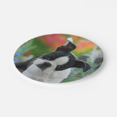 Boston-Terrier-Hundewelpen-Porträt, Party Pappteller (Schrägansicht)