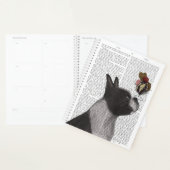 Boston Terrier Ice Cream Planer (Anzeige)