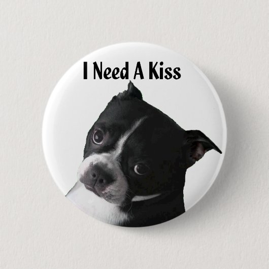 Boston Terrier:  Ich benötige einen Kuss Button (Vorderseite)