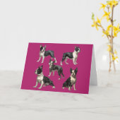 Boston-Terrier-Illustration Karte (Gelbe Blume)