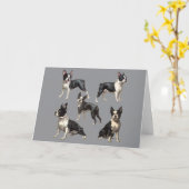 Boston-Terrier-Illustration Karte (Gelbe Blume)