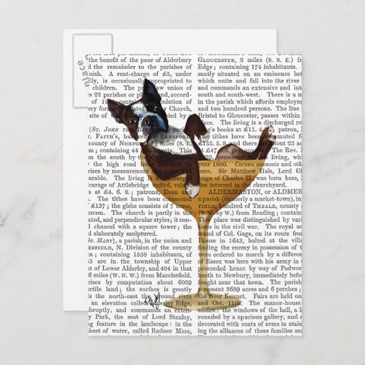 Boston Terrier im Cocktail-Glas 2 Postkarte (Vorne/Hinten)