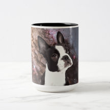 Boston Terrier im Raum