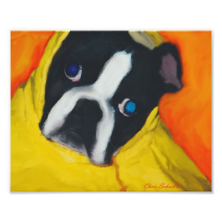 Boston Terrier in einem gelben Regenmantel Fotodruck