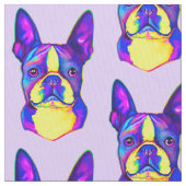 Boston Terrier in Farben Stoff (Nahaufnahme)