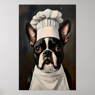 Boston Terrier in Kochmütze Poster, Haustierkunst Poster