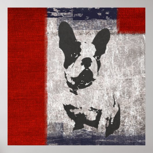 Boston Terrier in Schwarz und Weiß mit roter Grenz Poster (Vorne)