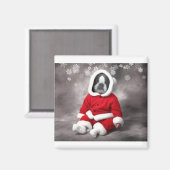 BOSTON TERRIER IN XMAS OUTFIT MAGNET (Vorderseite/Rückseite)