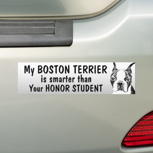 Boston Terrier - intelligenter als Student - Autoaufkleber (Auf Auto)