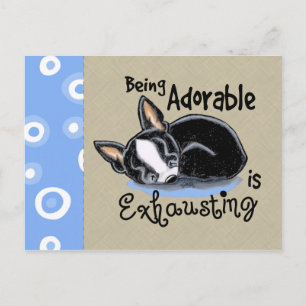 Boston Terrier ist bezaubernd Postkarte