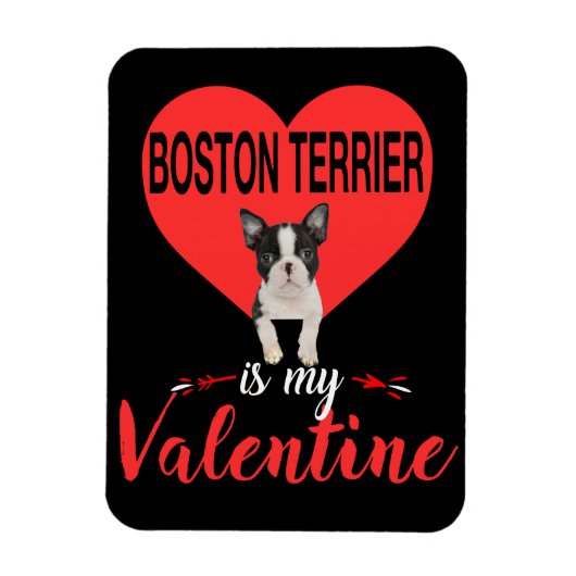 Boston Terrier ist mein Valentingeschenk Magnet (Vertikal)