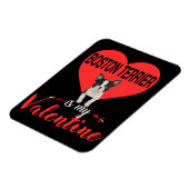 Boston Terrier ist mein Valentingeschenk Magnet (Linke Seite)