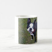 BOSTON-TERRIER-KAFFEE-TASSE KAFFEETASSE (Mittel)