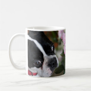 Boston-Terrier Kaffeetasse
